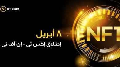 منصة اكس تي تطلق أول سوق للرموز غير القابلة للاستبدال “اكس تي-إن أف تي” في دبي