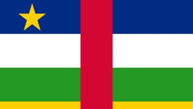 أفريقيا الوسطى تُعِدّ أطرًا قانونية لتنظيم العملات الرقمية