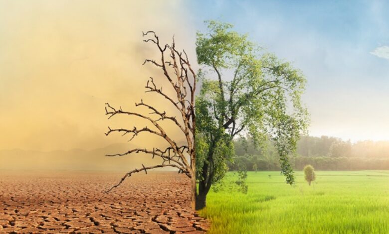 UAE HBKGOP, Nexum Foundation and Africa Climate Group launch Blokcchain carbon platform in Kenya