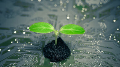 الأمم المتحدة تعلن عن مشروع خاص بالبلوكتشين الصديق للبيئة.. وماذا عن واقع هذه المشاريع في الشرق الأوسط؟