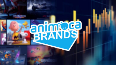 "أنيموكا" العملاقة تجمع تمويلاً إستثمارياً بقيمة 100 مليون دولار