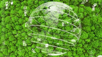 رصيد الكربون هو شهادة قابلة للتداول تمثل كمية معينة من الكربون المنبعث في الغلاف الجوي ويمكن أن تعمل بعدة طرق