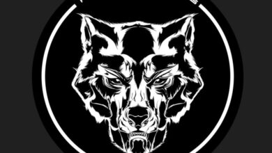 لخلق تجربة غامرة.. W Motors تدخل إلى الميتافرس