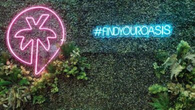 oasisX تطلق منصتها في بيروت بجهودٍ لبنانية