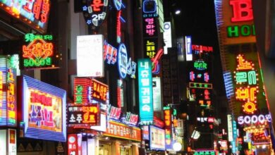 "سيونغنام" الكورية تخطط لمنح الجنسيات بهيئة أصول غير قابلة للاستبدال