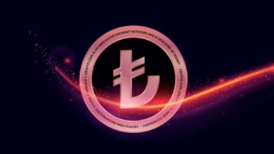 "المركزي التركي" يستعد لإطلاق عملته الرقمية المدعومة من الحكومة في العام المقبل