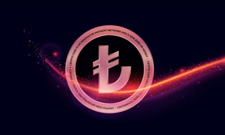 "المركزي التركي" يستعد لإطلاق عملته الرقمية المدعومة من الحكومة في العام المقبل
