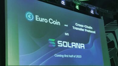 في النصف الأول من العام المقبل.. Circle ستصدر عملة "اليورو" المستقرة على سولانا