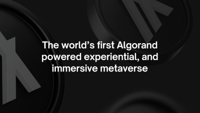 شركة "IBF Net" تطلق أول ميتافيرس متوافق مع الشريعة الإسلامية