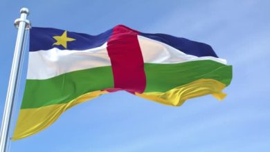 جمهورية أفريقيا الوسطى تمرر قانوناً يسمح بالاستثمار الأجنبي في العملات الرقمية