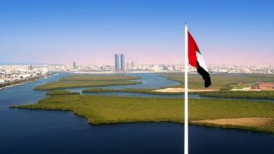 New Free Zone in Ras Al Khaimah Dedicated to Digital and Virtual Asset Firms
