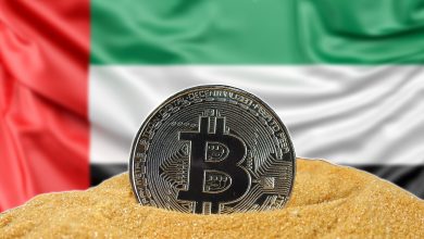 الإمارات تتمتع ببيئة خصبة للأصول الرقمية