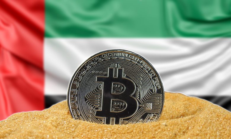 الإمارات تتمتع ببيئة خصبة للأصول الرقمية