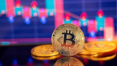 تقرير يعرض أعداد وأرقام حول الحفظ الأمين للأصول الرقمية