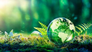 إطلاق مجموعة من الأصول غير القابلة للإستبدال بهدف مكافحة التغير المناخي