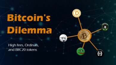 Bitcoin Network Dilemma