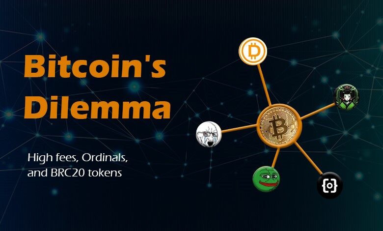 Bitcoin Network Dilemma