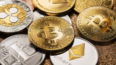 Evertas authorized of largest crypto insurance plan