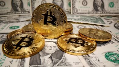 bitcoin investors