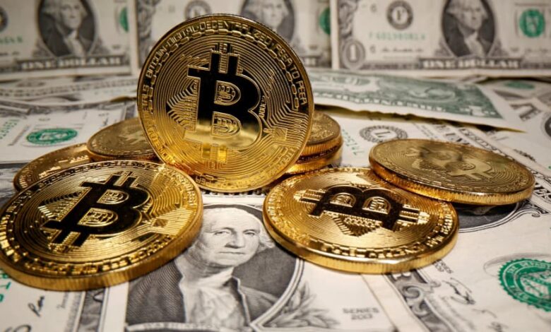 bitcoin investors