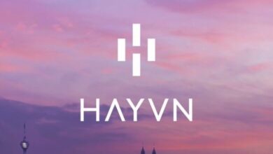 الأداء المتميز لصندوق HAYVN 20 يفوق التوقعات