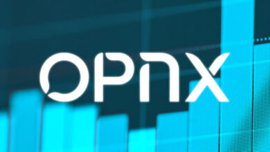 هيئة تنظيم الأصول الافتراضية في دبي تتخذ إجراءات صارمة ضد OPNX
