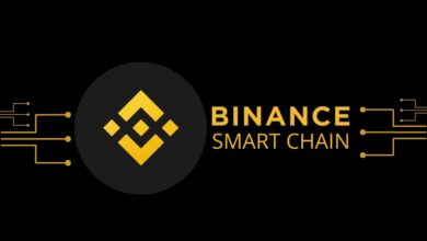 blockchain news BNB smart chain
