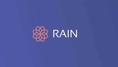 منصة "رين" تحصل على ترخيص لتشغيل خدماتها في الإمارات