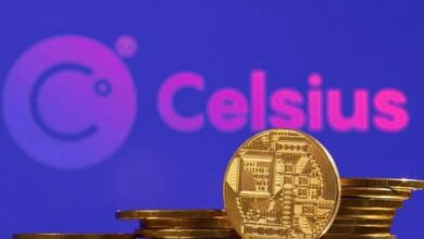 إلقاء القبض على مؤسس "سيلسيوس" بتهمة الإحتيال