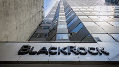 رئيس "بلاك روك": "البيتكوين يمكن أن تحدث ثورة في النظام المالي"