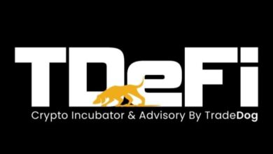 شركة TDeFi تقدّم مبلغ 100 ألف دولار لشركات ناشئة مختارة في مجال الويب 3.0