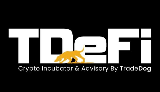 شركة TDeFi تقدّم مبلغ 100 ألف دولار لشركات ناشئة مختارة في مجال الويب 3.0