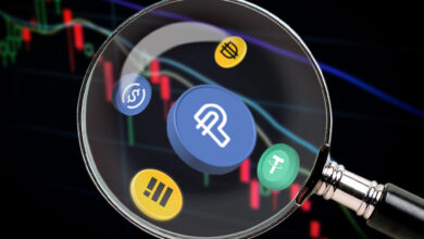 Stablecoin Evolution: challenges, regulations, and impact of PYUSD annual yield paypal