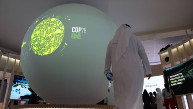 COP28