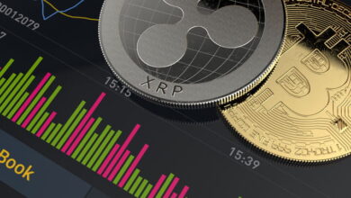 "إتش تي إكس" تستعيد 8 ملايين دولار من الأموال المسروقة