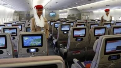 مصدر الصورة: Tourism Daily News