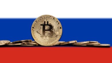 مصدر الصورة: ANKASAM