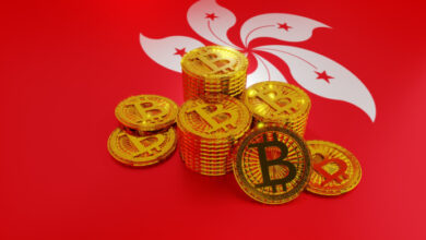 مصدر الصورة: FST Media