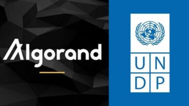 UNDP and Algorand partner for comprehensive blockchain training program for employees
