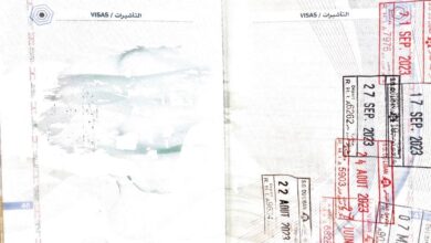 Blockchain potential with visa process