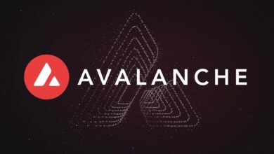 Avalanche Foundation to Invest $100 Million in Meme Coins, blockchain, NFT, cryptocurrency