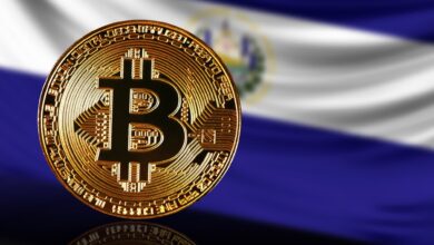 el salvador, bitcoin, btc, bitcoin mining, bitcoin purchases, restrictions, ban, IMF, crypto news, blockchain news