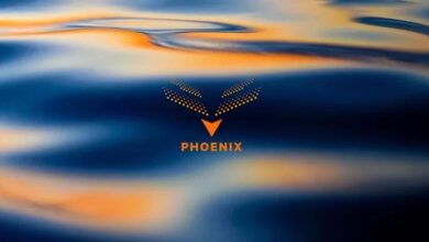 "فينيكس غروب" تبرم صفقة ضخمة بقيمة 187 مليون دولار مع شركة "بيت ميين"