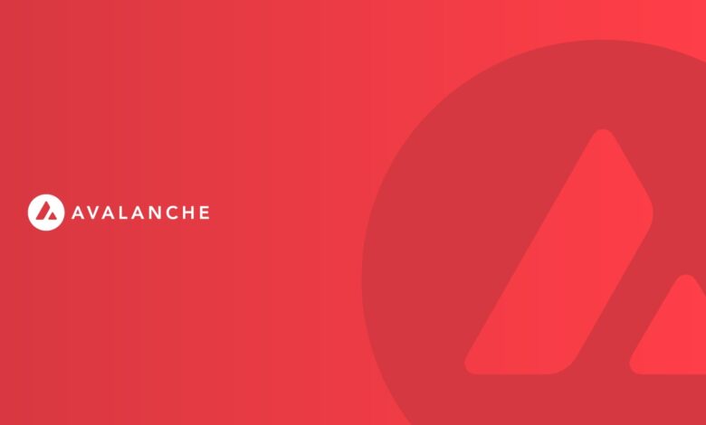 blockchain news avalanche outage