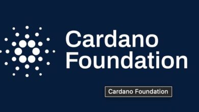 تقرير مؤسسة كاردانو السنوي الجديد يرصد مسيرة المرونة والتعليم والتبني