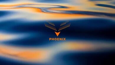 مجموعة فينيكس تتوسع في أوروبا: النمو لا ينعكس على أداء سهم الشركة