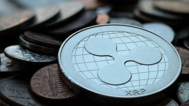 ريبل تُرحّب بفكرة إطلاق صندوق تداول فوري خاص بـ XRP