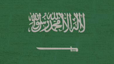 السعودية تسعى إلى تعزيز جهود الذكاء الاصطناعي في 16 دولة