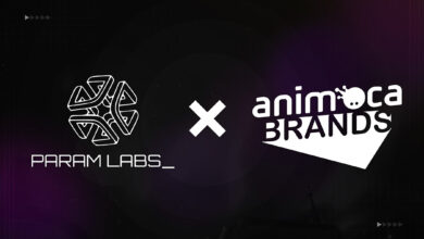 Param Labs and Animoca Brands partnership