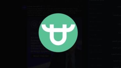 منصة "بيت فوركس" توقف عملياتها فجأةً وسط شكوك حول احتمال كونها عملية احتيال